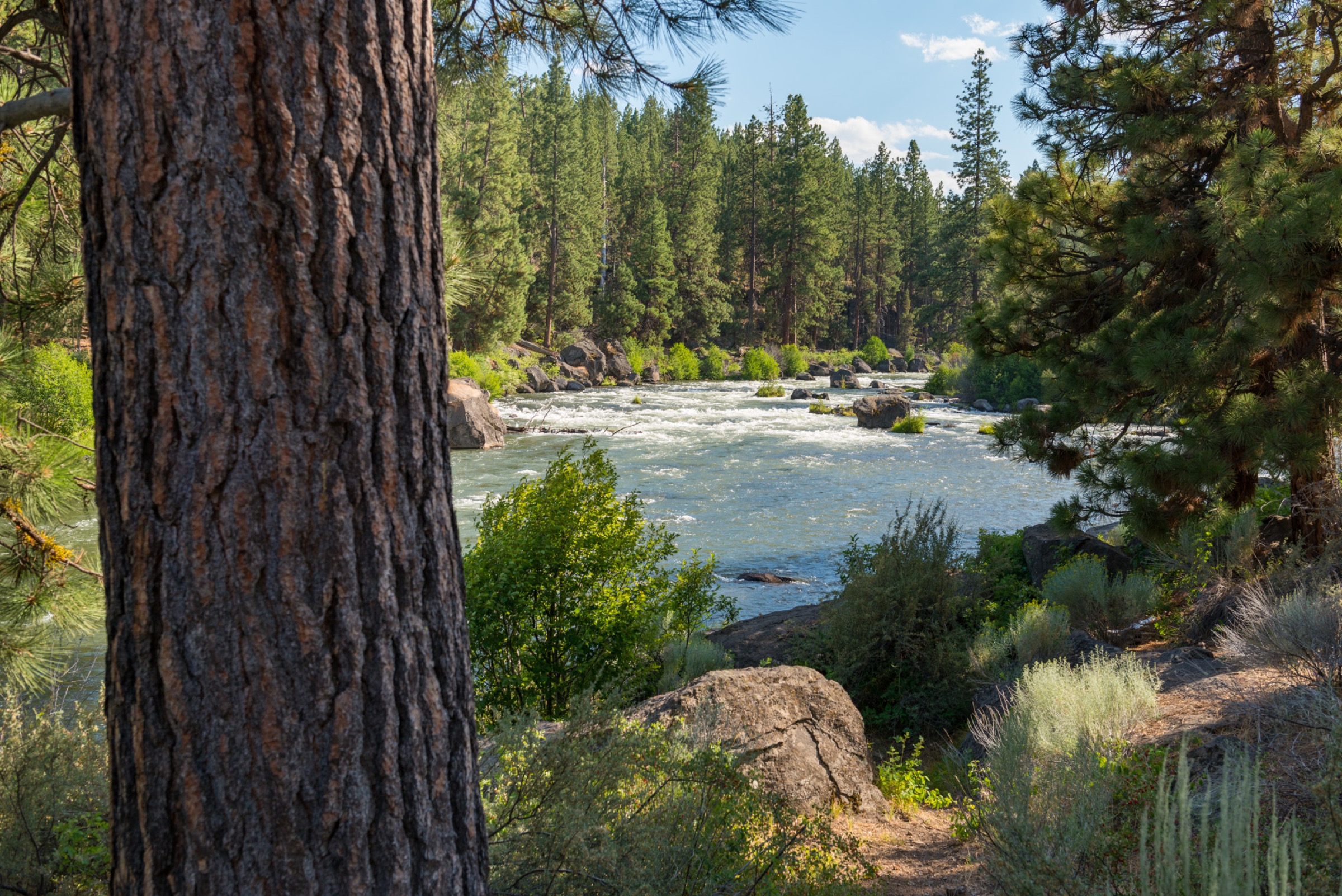 Bend, the West Coast