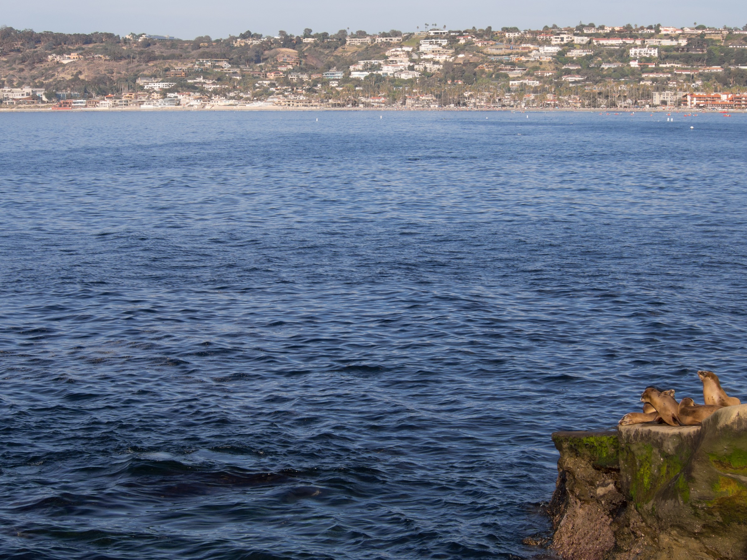 La Jolla, the West Coast