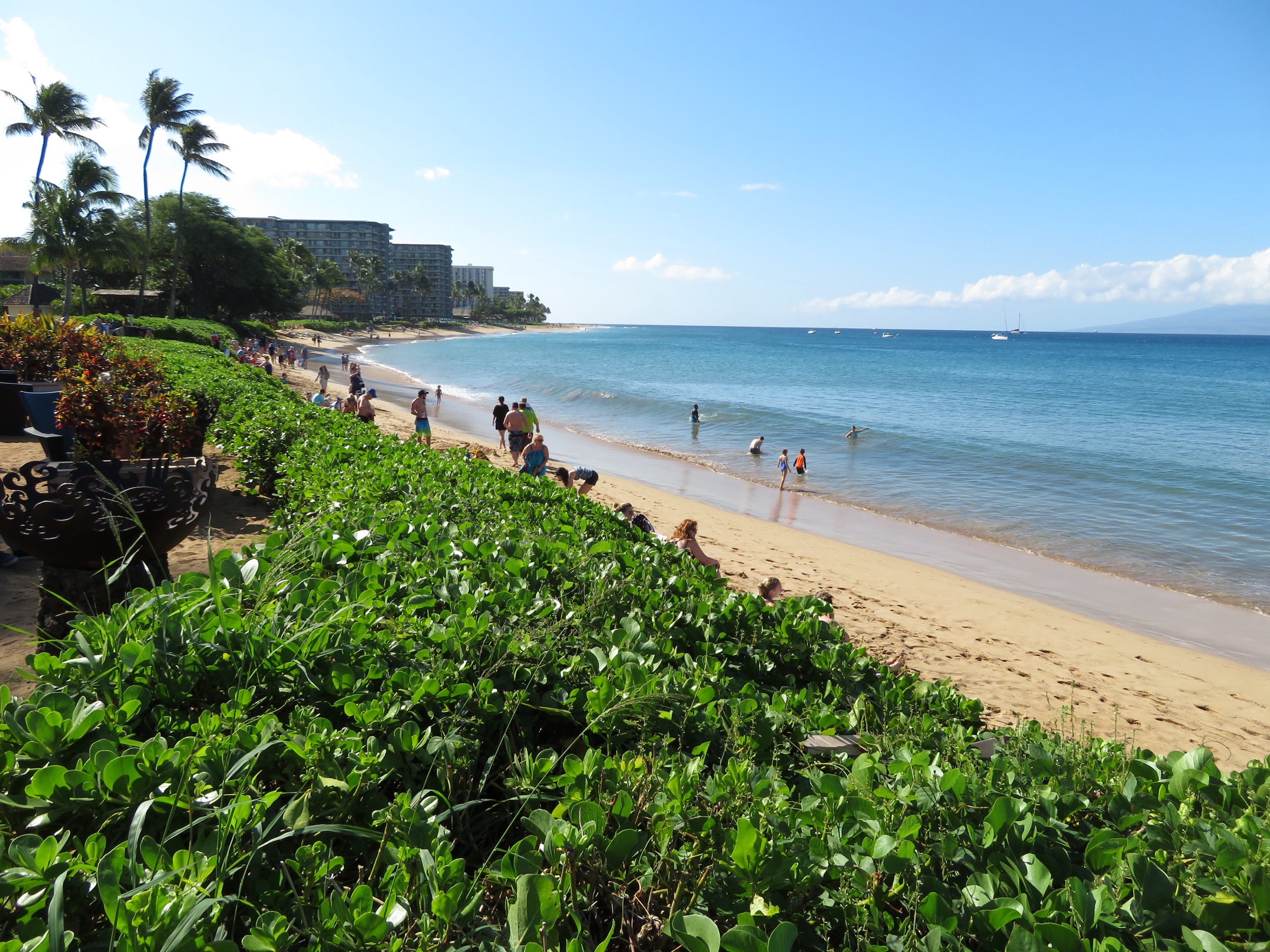 Maui, the West Coast
